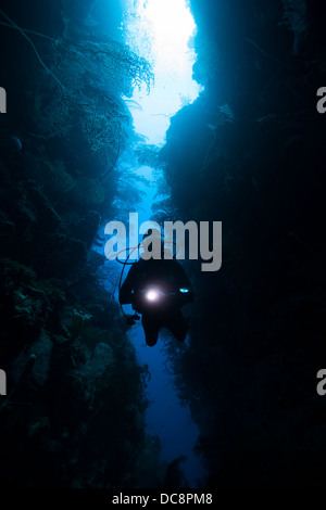 Taucher, die einen Riss mit einer Taschenlampe an Marias Ort abseits der Insel Roatan, Honduras zu erkunden. Stockfoto