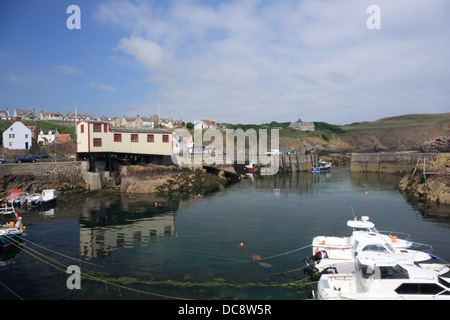 St. Abbs Hafen zeigt die RNLI Lifeboat Station & Boote in dem Fischerdorf in den Scottish Borders, Berwickshire, Schottland Stockfoto