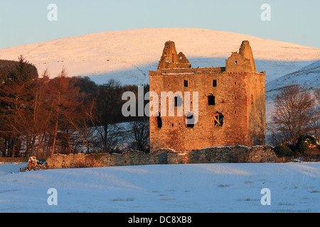 Newark Castle, Selkirkshire in den Scottish Borders Stockfoto