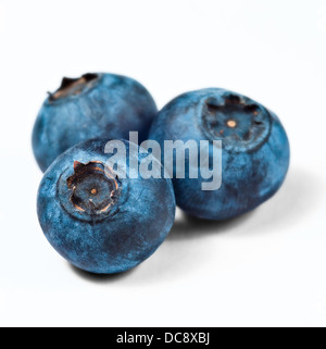 Heidelbeeren - Makro-Studio gedreht Stockfoto
