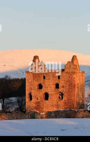 Newark Castle, Selkirkshire in den Scottish Borders Stockfoto