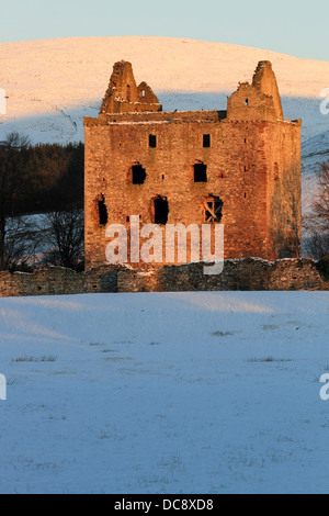 Newark Castle, Selkirkshire in den Scottish Borders Stockfoto