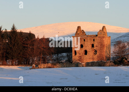 Newark Castle, Selkirkshire in den Scottish Borders Stockfoto