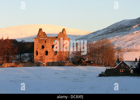 Newark Castle, Selkirkshire in den Scottish Borders Stockfoto