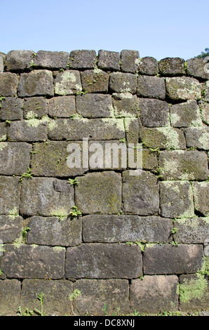 Guatemala, Quirigua Maya Ruinen archäologischen Park (UNESCO). Die Akropolis, Wand Stein Detail. Stockfoto