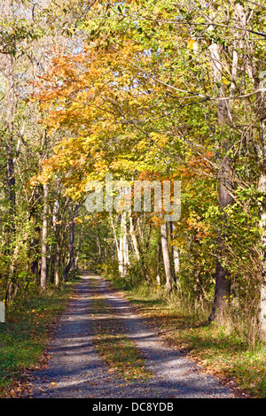 Herbst Schlepptau Kiesweg führt die Sperre 60 entlang Chesapeake Ohio Canal nationaler historischer Park Allegany County Maryland Stockfoto