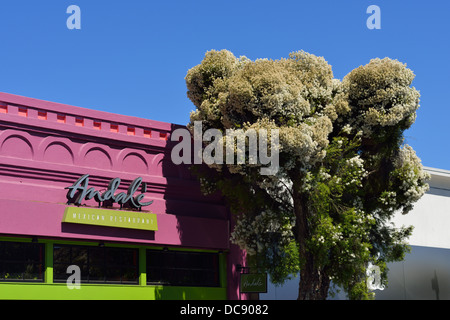 Andale Mexican Restaurant, Los Gatos CA Stockfoto