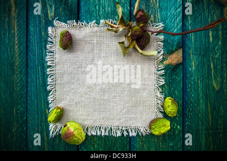 Kunst abstrakte Hintergrund mit getrockneten Früchten Motiv für design Stockfoto