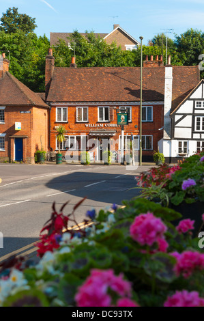 William Cobbet Pup in Farnham, Surrey Stockfoto