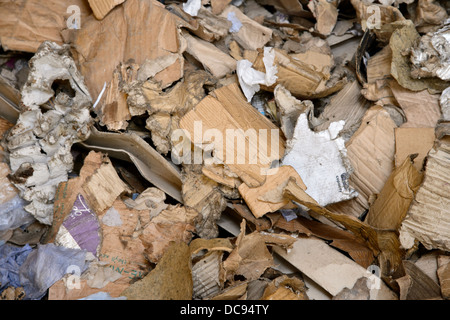 Abfall, Pappe und Papier auf eine recycling-Anlage in den West Midlands, England, UK Stockfoto