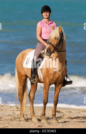 Barb Pferd lächelnde junge Frau Palomino Hengst stehende Strand Stockfoto