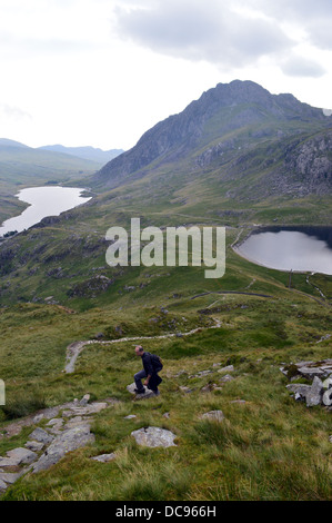 Walker aufsteigend auf Weg zu den Welsh Mountain Y Garn mit Tryfan und die Seen Lyn Ogwen & Llyn Idwal in der Ferne Stockfoto