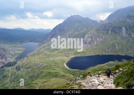 Walker, Abstieg auf Weg von der Welsh Mountain Y Garn mit Tryfan und die Seen Lyn Ogwen & Llyn Idwal in der Ferne Stockfoto