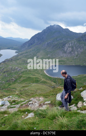 Walker, Abstieg auf Weg von der Welsh Mountain Y Garn mit Tryfan und die Seen Lyn Ogwen & Llyn Idwal in der Ferne Stockfoto