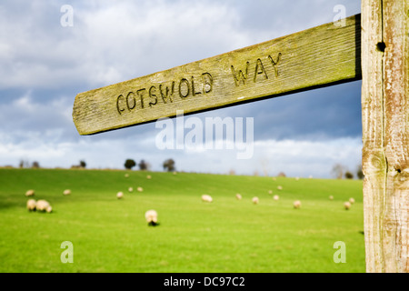 Wanderweg Zeichen für den Cotswold Weg in England, UK. Stockfoto