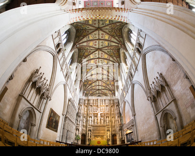 St Albans Cathedral in Hertfordshire, England - Interieur fisheye 1 Stockfoto