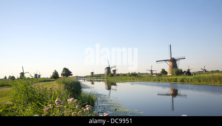 Traditionelle holländische Windmühlen Kinderdijk Niederlande Stockfoto