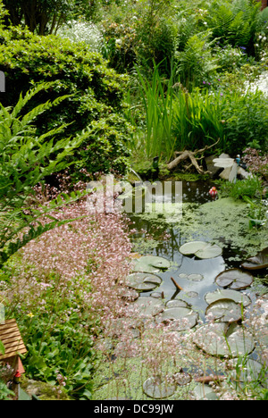 Garten-Farn in natürlicher Umgebung Stockfoto