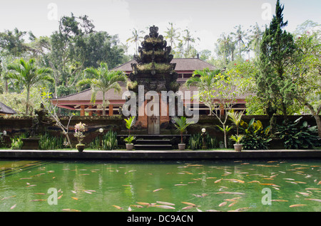 Pura Tirta Empul Tempel, Frühlings Heiligtume Koi Fischteich Stockfoto