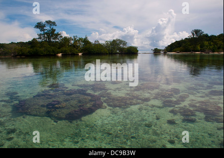 Klares Wasser auf die Marovo Lagune Stockfoto