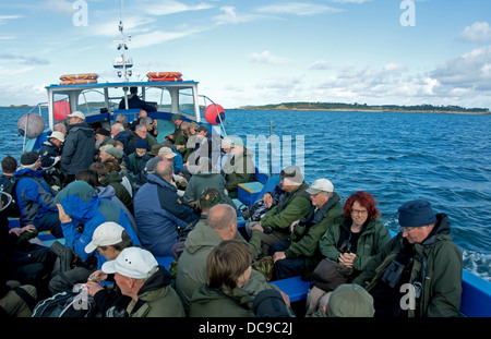 Ornithologen auf einem Boot auf die Isles of Scilly 1 Stockfoto