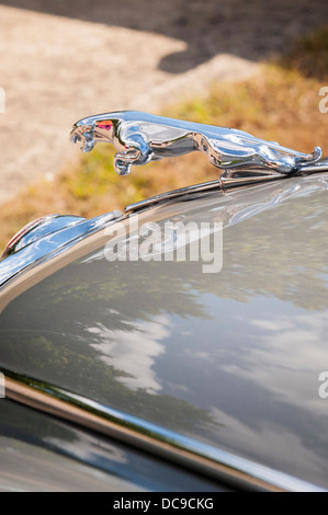 De Havilland Museum 1968 Jaguar 3,8 s Liter Liter 4 vier Türen Benzin Limousine silber Abbildung logo Badge auf der Motorhaube Seite Detail anzeigen Stockfoto