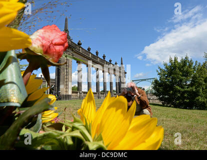 Berlin, Deutschland. 13. August 2013. Blumen sind in der Nähe der Glienicker Brücke während einer Veranstaltung der CDU zum 52. Jahrestag des Baus der Berliner Mauer 1961 abgebildet. Foto: RALF HIRSCHBERGER/Dpa/Alamy Live News Stockfoto