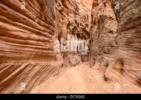 Innen Buckskin Gulch Slotcanyon, Kanab, Utah Stockfoto