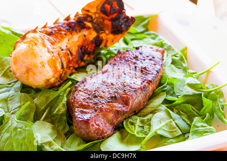 Surf Turf Grill Teller, enthält Meeresfrüchte und Steak hier Hummerschwanz und New York Strip Rindersteak auf grüne Spinat Stockfoto