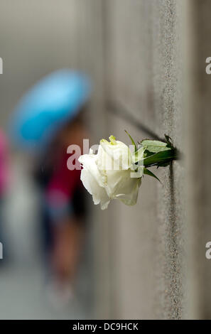 Berlin, Deutschland. 13. August 2013. Eine einzelne weiße rose ragt aus der Wand, die Touristen aus der Schweiz besuchen an der Gedenkstätte Berliner Mauer in Berlin, Deutschland, 13. August 2013. Es gab eine Gedenkfeier und die Verlegung eines Kranzes es am selben Tages zum Gedenken an den Bau der Berliner Mauer und die Opfer der innerdeutschen Grenze. Foto: MAURIZIO GAMBARINI/Dpa/Alamy Live News Stockfoto