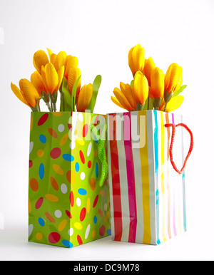 zwei Geschenk-Taschen gefüllt mit gelben Blüten Stockfoto