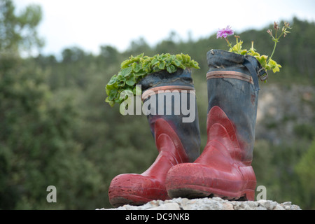 Katiuskas umgewandelt in Töpfen, Terrassen schmücken Stockfoto