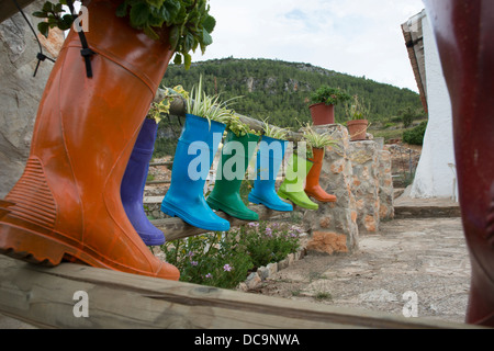 Katiuskas umgewandelt in Töpfen, Terrassen schmücken Stockfoto