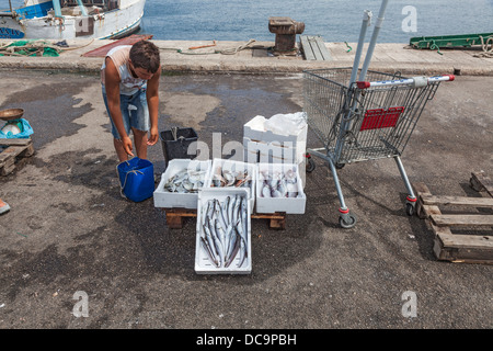 Fangfrischen Fisch zum Verkauf am Kai in Gallipoli, Apulien, Salento Region des südlichen Italien Stockfoto