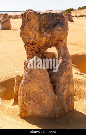 DIE PINNACLES, NAMBUNG NATIONAL PARK, IN DER NÄHE VON CERVANTES, WESTERN AUSTRALIA, AUSTRALIEN Stockfoto