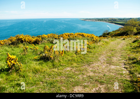 Greystones (Irisch: Na Clocha Liatha) ist eine Stadt und am Meer Seebad im County Wicklow, Ireland. Stockfoto