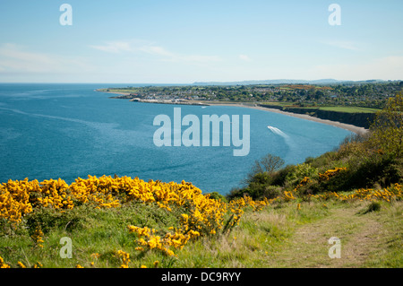 Greystones (Irisch: Na Clocha Liatha) ist eine Stadt und am Meer Seebad im County Wicklow, Ireland. Stockfoto