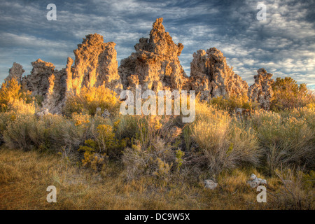USA, California, Mono Lake. Sonnenaufgang am Tufas und Grass. Stockfoto