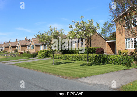 Reihe von Bungalow Häuser, Scalby Dorf, England. Stockfoto