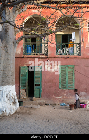 Baobab-Baum und altes Haus, Goree Island, Senegal. Stockfoto