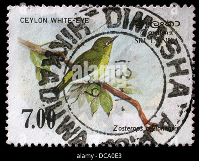 SRI LANKA - ca. 1988: Eine Briefmarke gedruckt in der Republik von Sri Lanka Sri Lanka zeigt White-eye Vogel, Zosterops ceylonensis Stockfoto