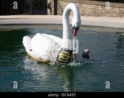 Kostenlos das Quay-Protest-Plakat auf Schwanenbrunnen Mistley Essex England Stockfoto