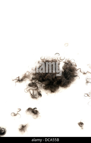 Haarausfall, Haare auf dem Boden Stockfoto