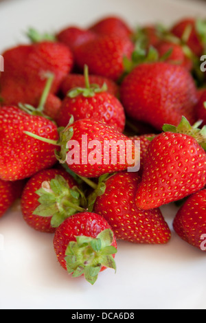 Kleine Erdbeeren auf einem Teller Stockfoto