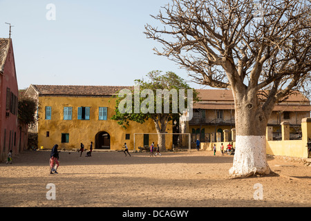 Baobab-Baum, Sportplatz, altes Haus, Goree Island, Senegal. Stockfoto