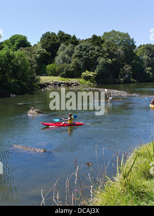 dh Bay of Islands KERIKERI RIVER NEW ZEALAND NZ Familie Kajakfahren Junge Kanu Kajak paddeln Stockfoto