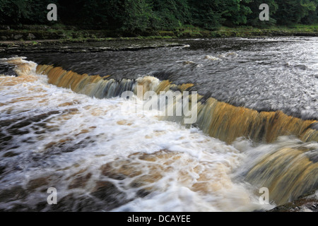 Aysgarth Mitte fällt, Wensleydale, North Yorkshire, Yorkshire Dales National Park, England, UK, Stockfoto