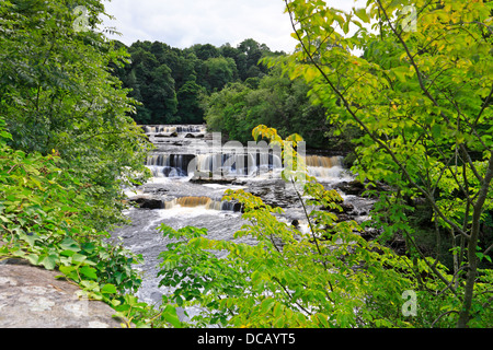 Aysgarth Upper Falls, Wensleydale, North Yorkshire, Yorkshire Dales National Park, England, UK. Stockfoto