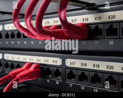 Netzwerk-Kabel eingesteckt in die Schalter-Steckdosen für Netzwerke, IT, Kommunikation Themen Stockfoto