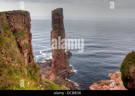 Der alte Mann Hoy, ein Meer-Stack in Orkney, Schottland Stockfoto